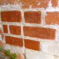 brick tint 004.JPG